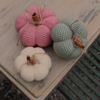 Halloween Pumpkin Gift Set