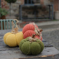 Decorative Halloween Pumpkin Set