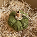 Decorative Halloween Pumpkin Set