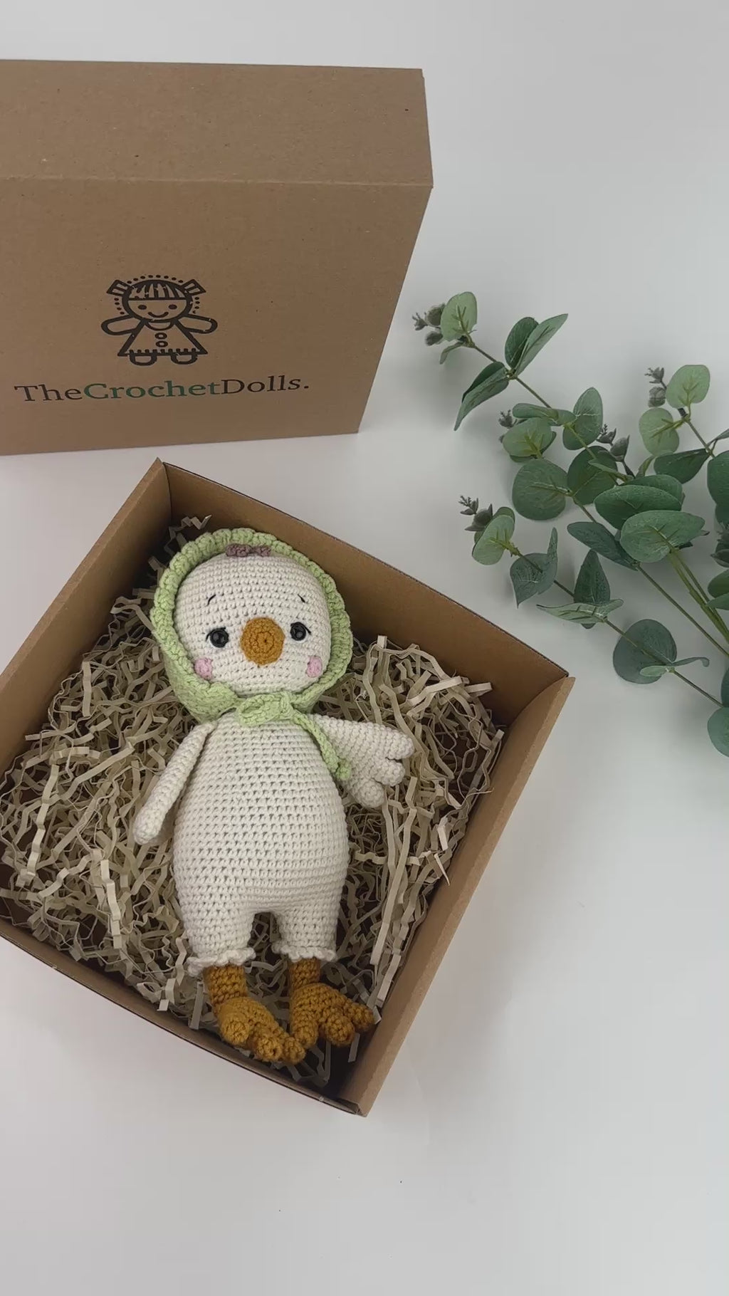 Crochet Duck Dottie